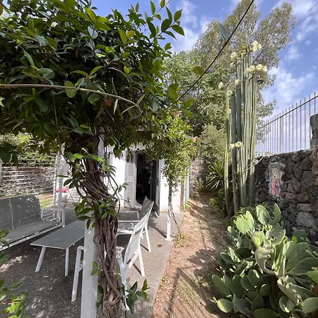 Miniglamp E.v. - * Искья