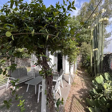 Шале Miniglamp E.v. -