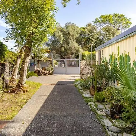 Miniglamp E.v. - Искья